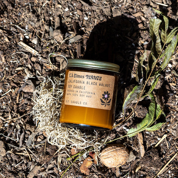 P.F. Candle Co. California Black Walnut for LA Times Plants Standard Candle - Lifestyle - Golden hour hikes through peaks and valleys, butterflies swirling along leafy shrubs, braided baskets made with dry bark. Balsamic and ambery, with lime leaf, walnut husk, green moss, and black amber.