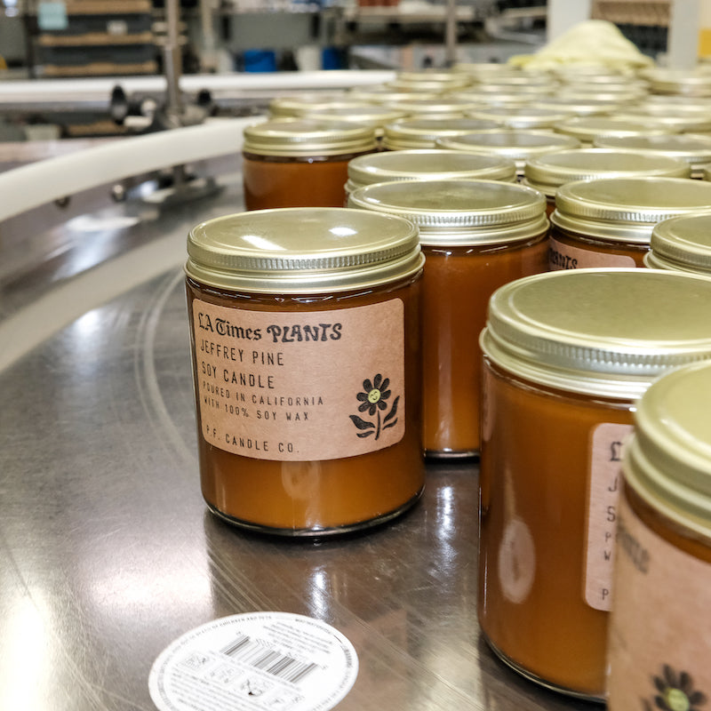 P.F. Candle Co. Jeffrey Pine Walnut for LA Times Plants Standard Candle - Warehouse - All of our products are developed, produced, tested, and packed by our team out of our warehouse in Los Angeles, CA.